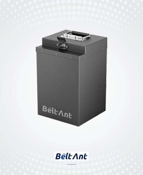 Beltant-Energy Storage Battery Series-LOW SPEED CAR BATTERY